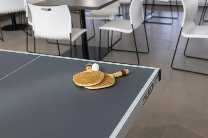 Ping Pong Table
