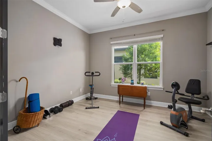 The Flex Space is being utilized as an Exercise Room. This is also a great space for an Office / Den or Study.