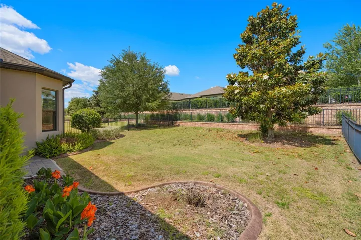 View of the Rear Yard