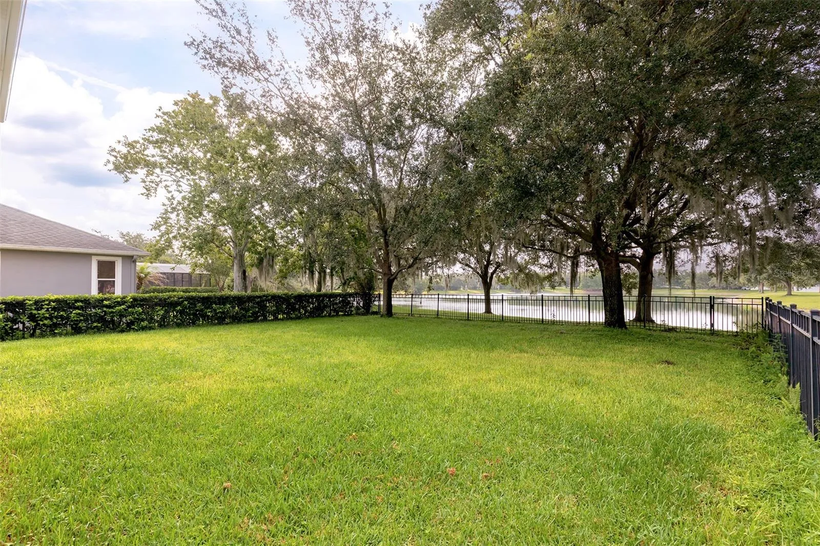Backyard with Pond View