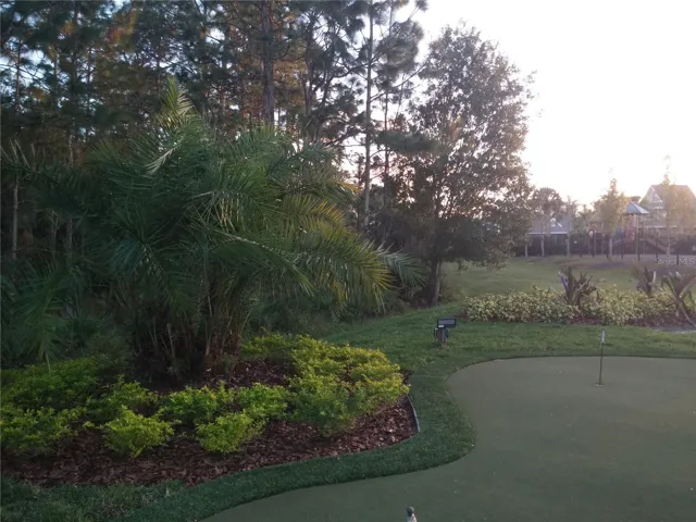 golf padding green