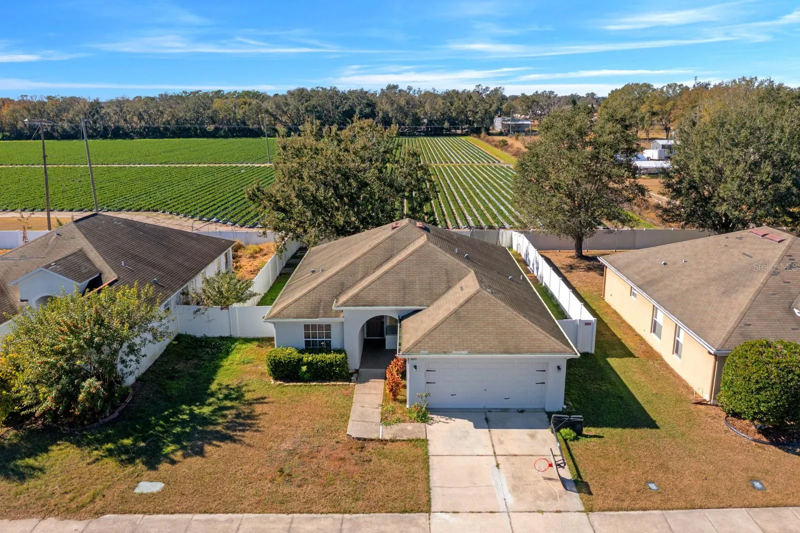3609 Trapnell Grove Loop, Plant City, Florida 33567 — photo 3