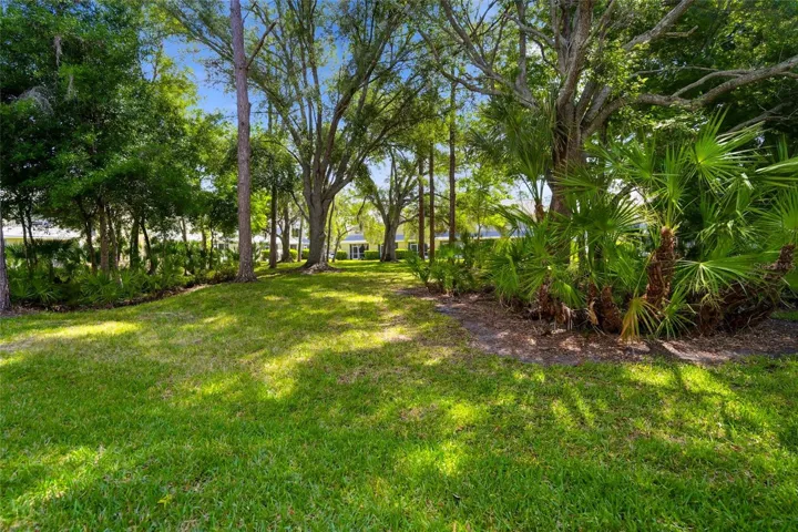 View in back of property
