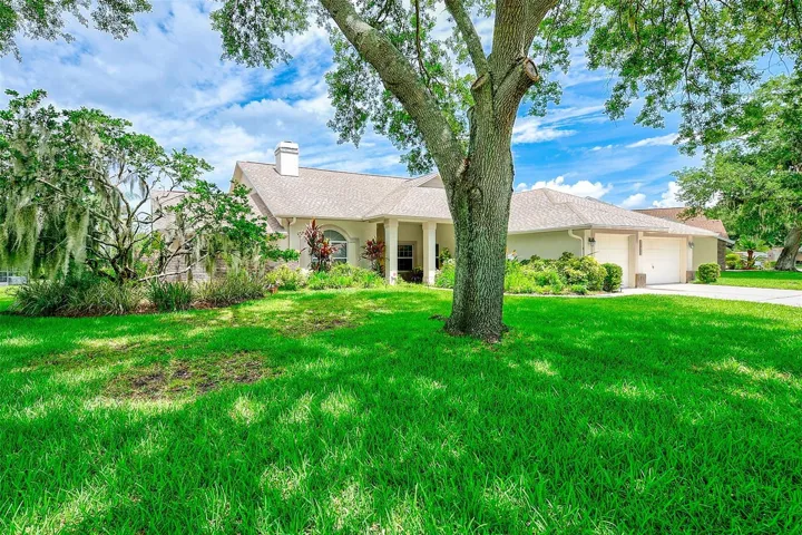 front yard
