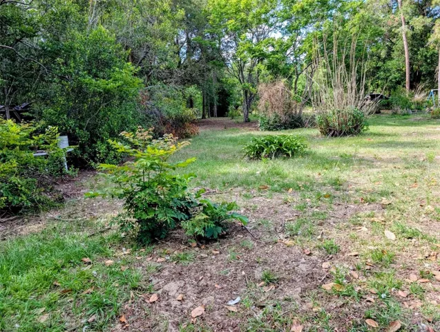 Yard