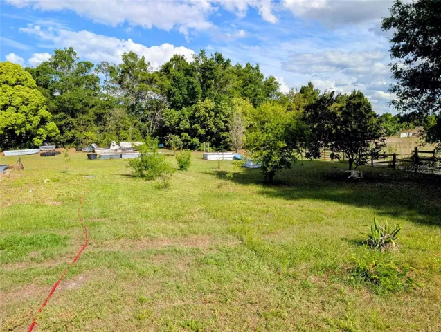 Yard