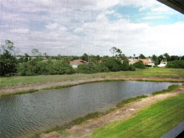 View from Lanai