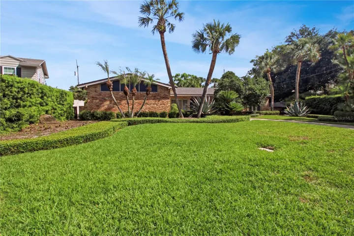 Front yard