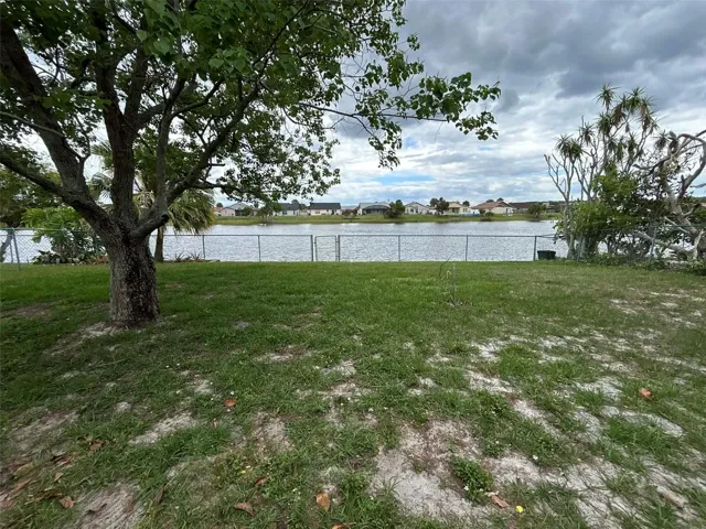 Backyard - Pond View