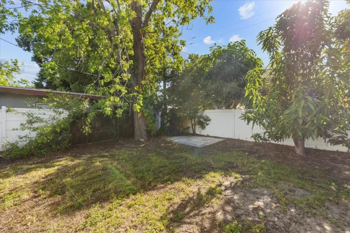 Backyard looking SW