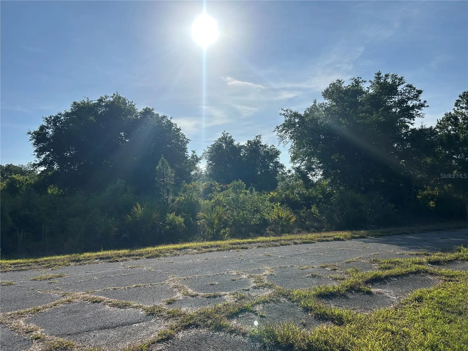 Lot Left