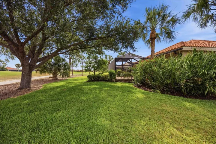 View from the back of the house