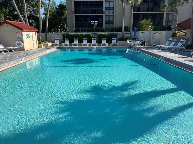 Olympic Pool