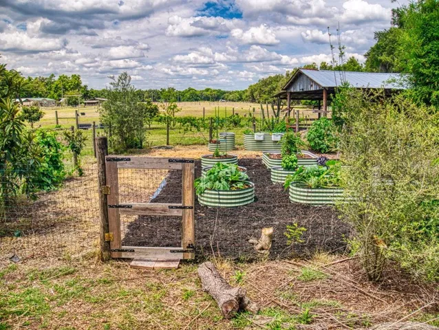 FENCED GARDEN