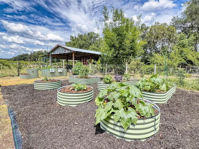 Raised garden beds