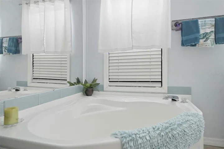 Primary Bathroom Tub