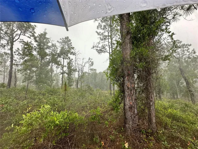 I loved this land on a rainy day.