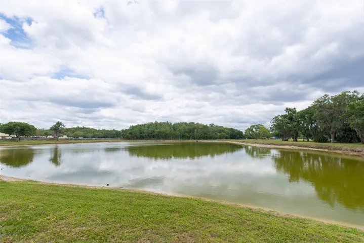 Lake across the street