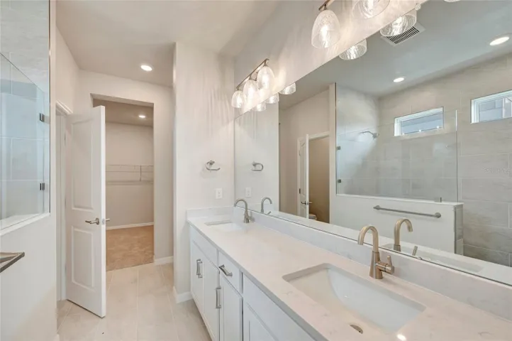 Owner's Bath