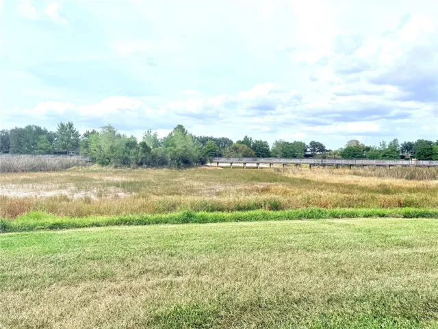 Rear View of Estuary