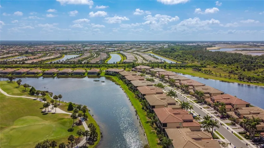 Tarflower from the air