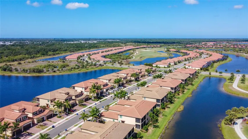 Tarflower from the air