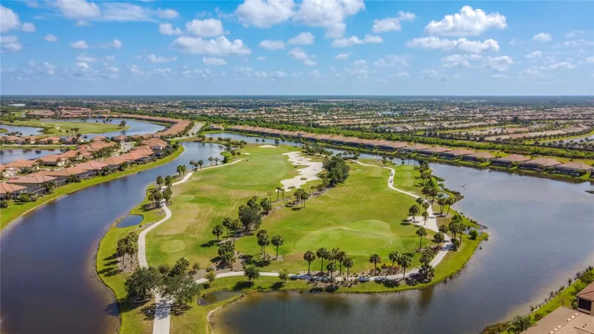 Tarflower from the air