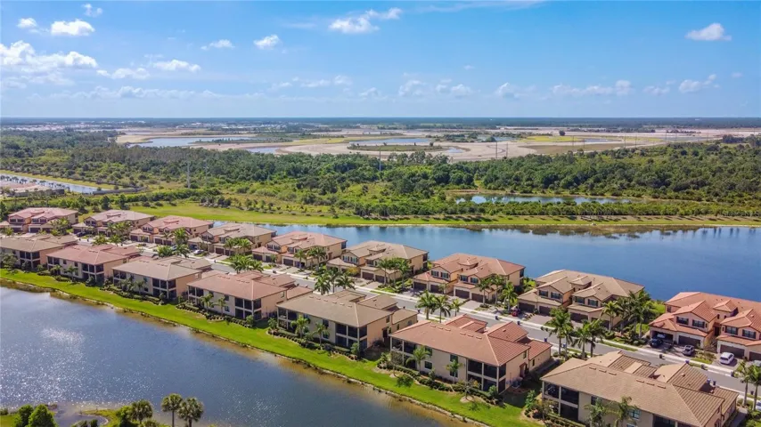 Tarflower from the air