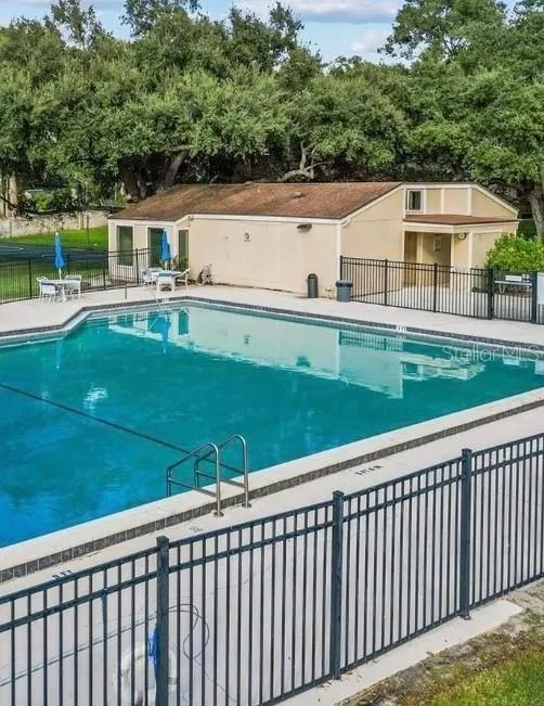 Pool 31