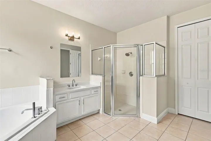 Primary Suite - Bathroom (downstairs)