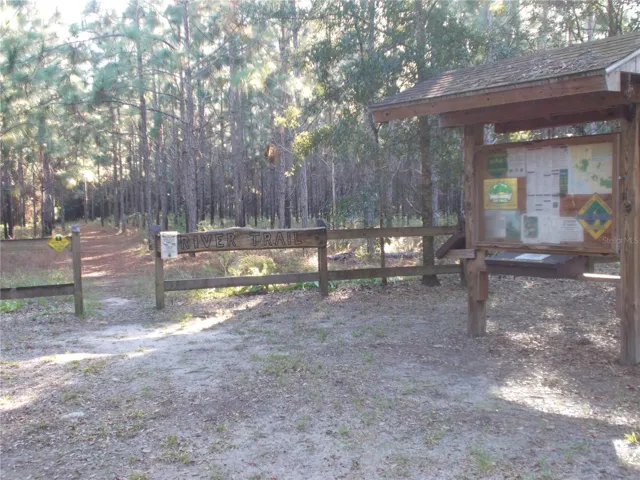 Withlacoochee State Trail - wooded hiking trail