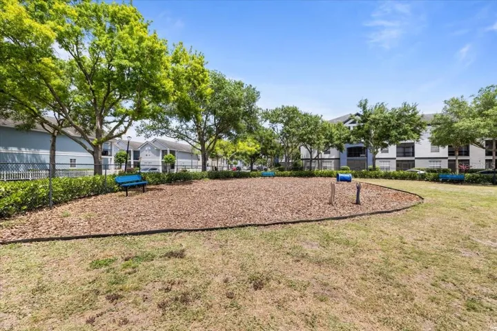 Dog Park Area