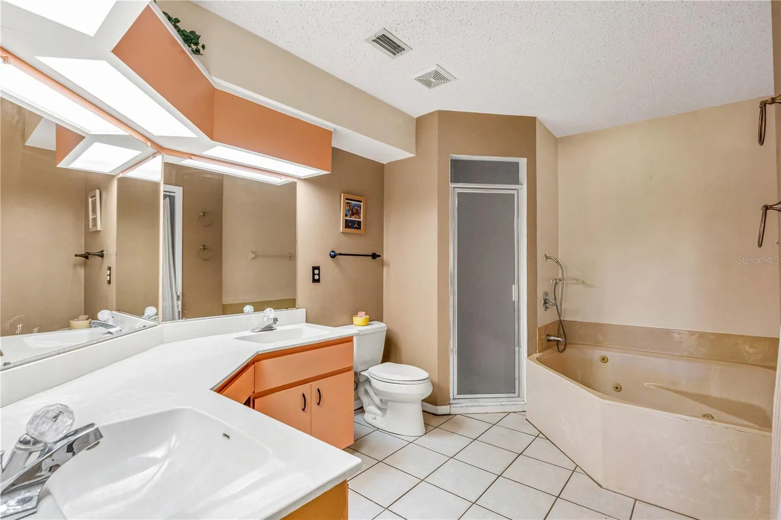 Step In Shower &amp; Jetted Tub
