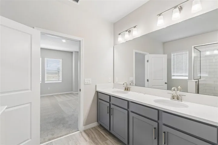 Owner's Bath
