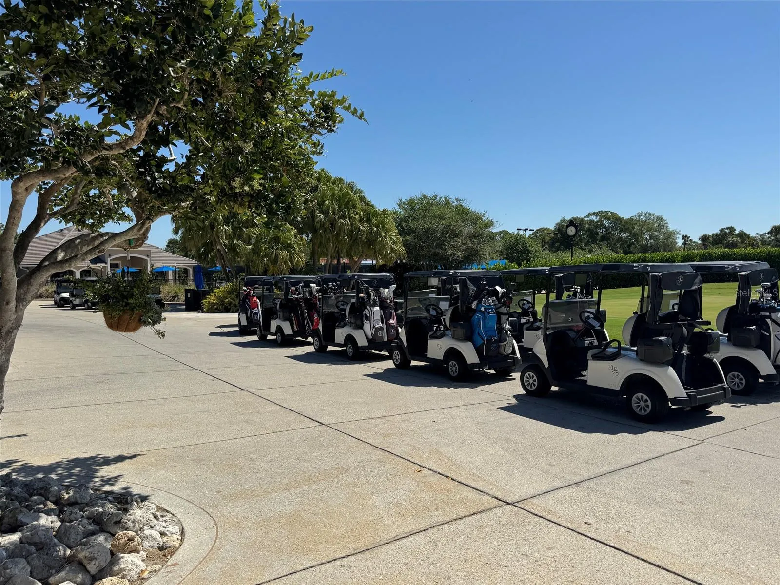Golf Carts