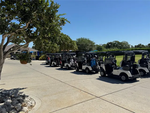 Golf Carts
