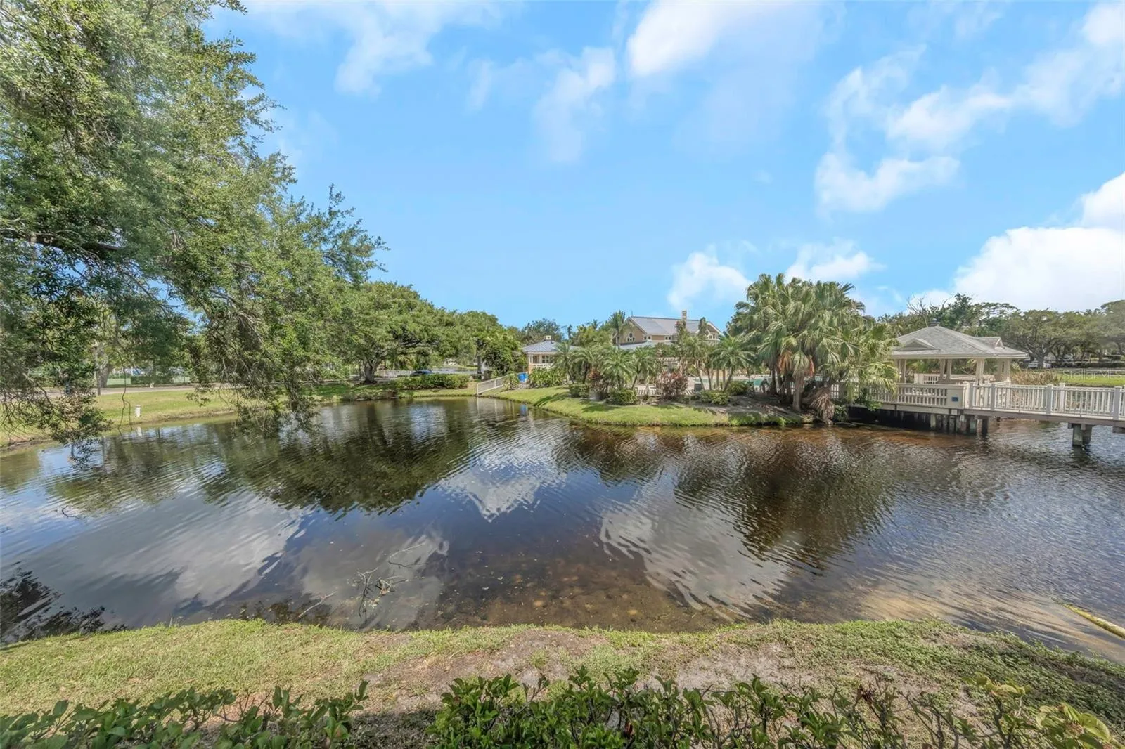 Pond View