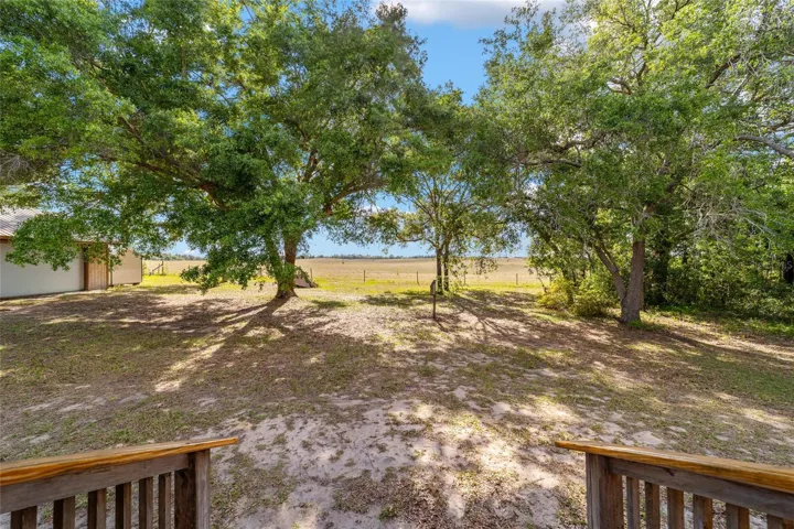 View from Back Porch