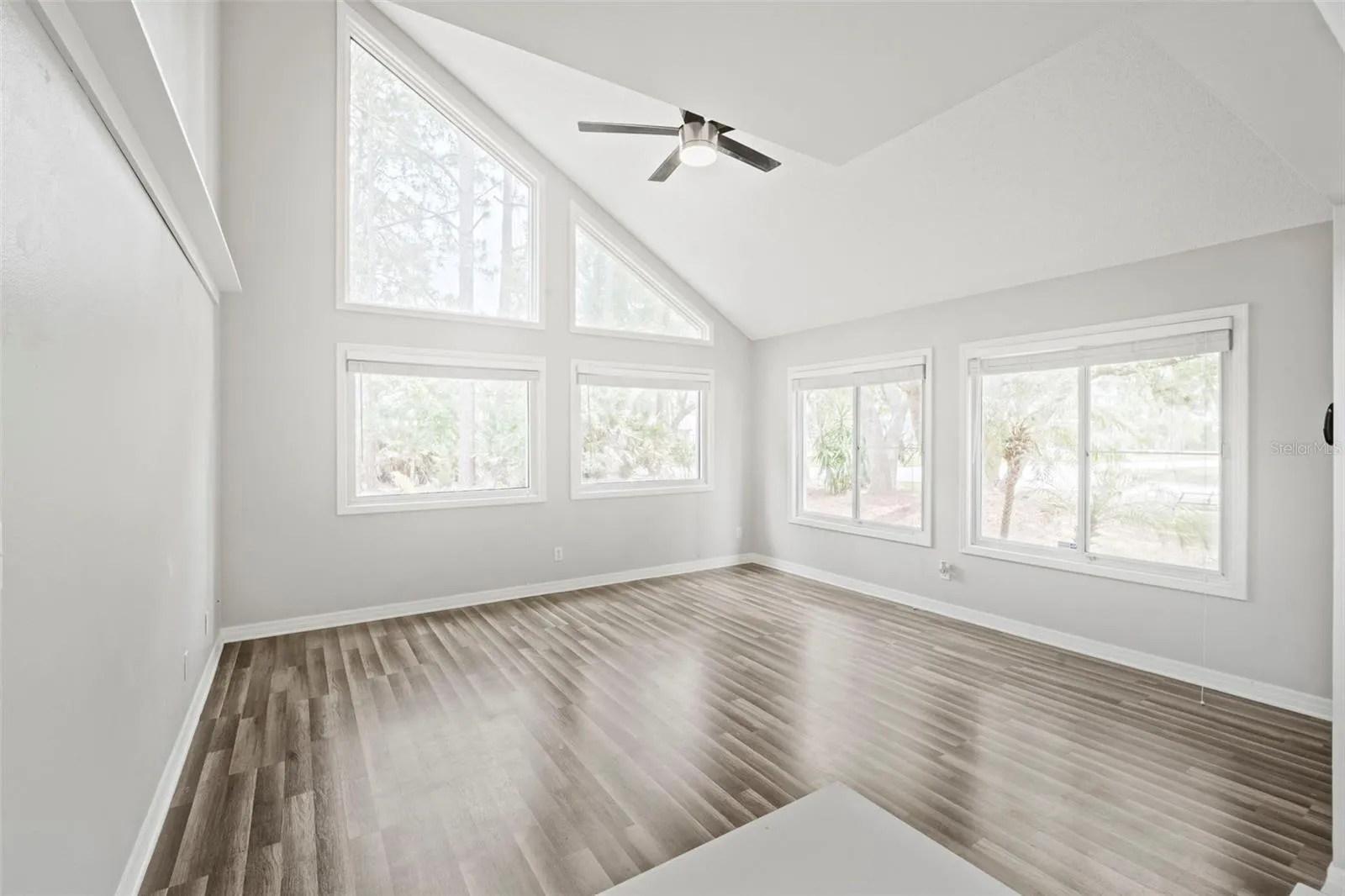 Family/Living Room