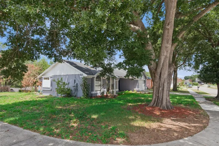 Side Yard