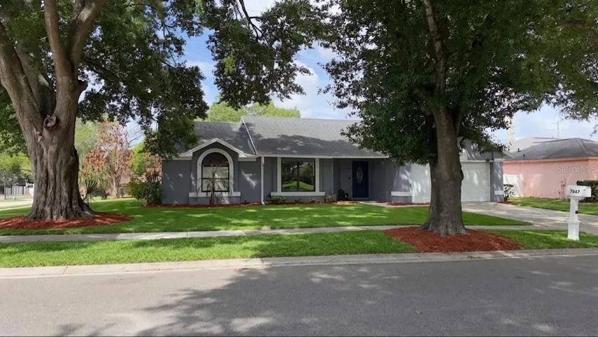 Front yard/ Virtually Stage