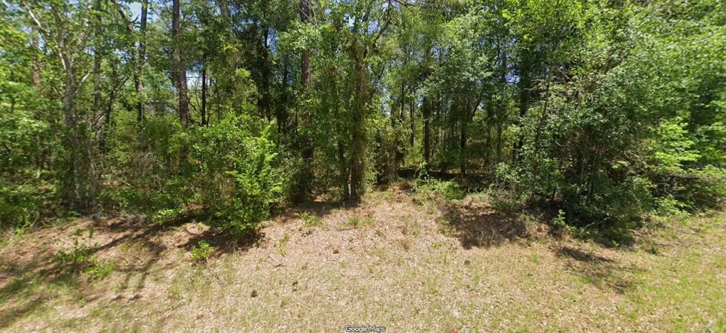 View from Buena Vista Rd.