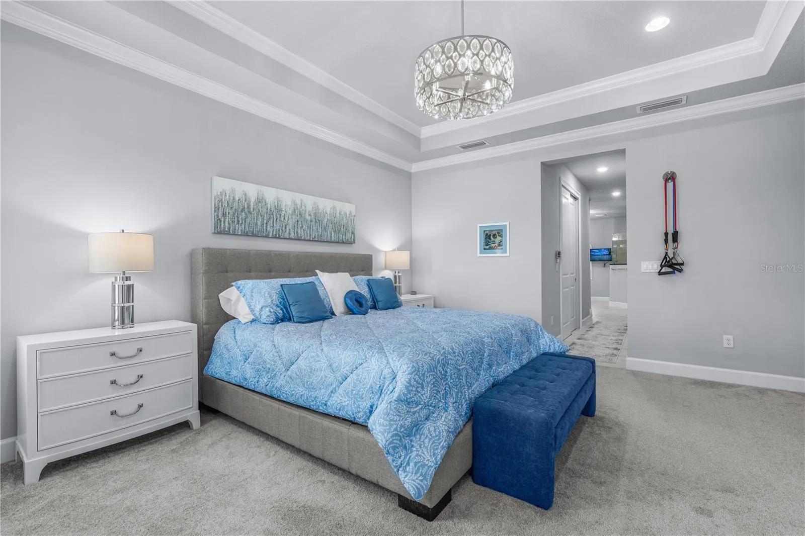 Primary Bedroom Crown Molding, Tray Ceilings & Plush Carpeting