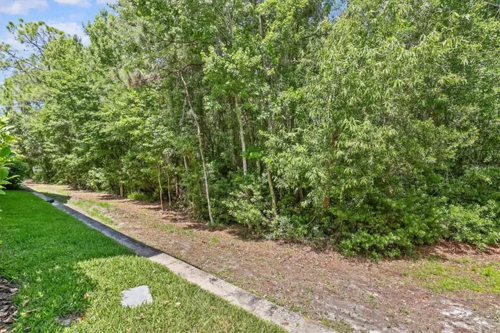 Rear Trees and Conservation Area