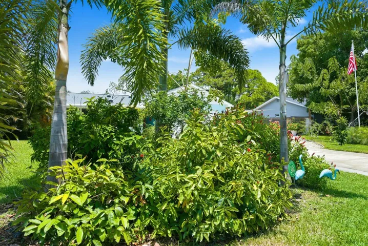garden
