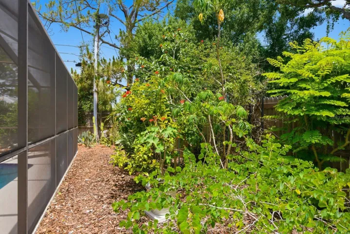 garden