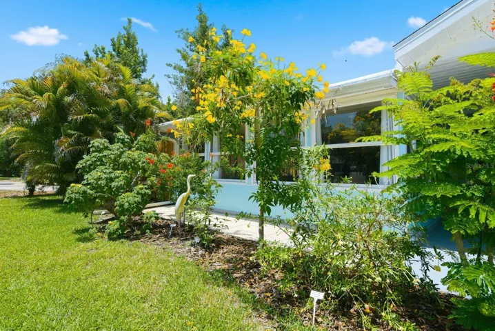 garden