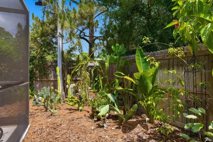 garden