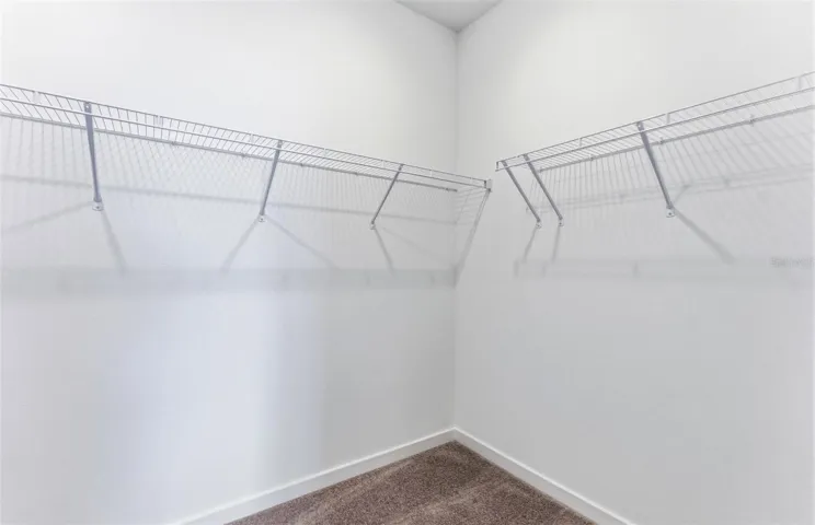 Owner's Walk-in Closet