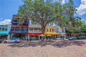 Downtown Park Avenue